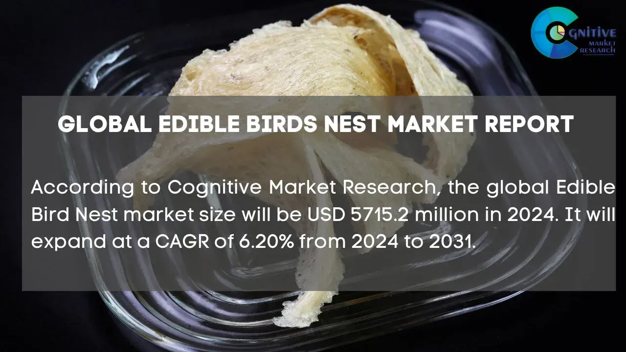 Edible Birds Nest Market Report